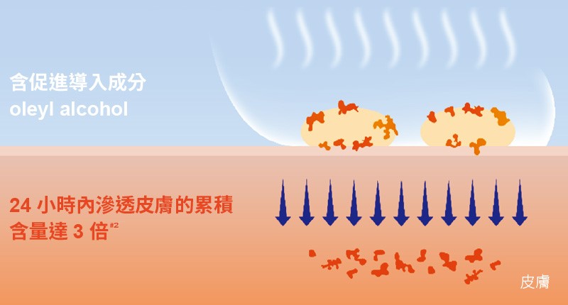 含促進導入成分oleyl alcohol。24 小時內滲透皮膚的累積含量達 3 倍。